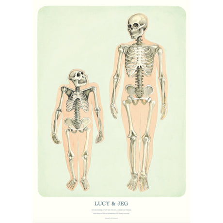 Lucy & Jeg - Gorilla Galleri - Plakatglad